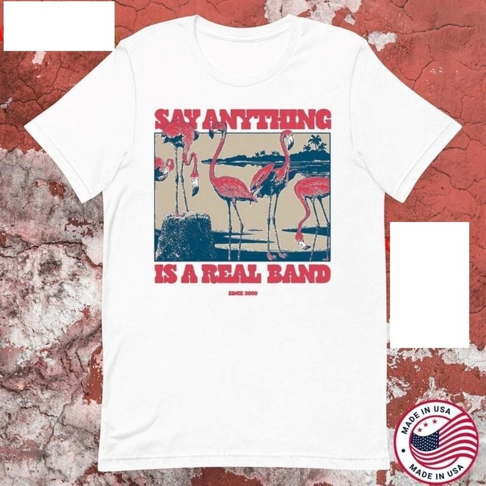 Say Anything Is A Real Band Since 2000 Flamingos T-shirts